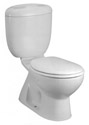 Caroma 305 dual flush toilet