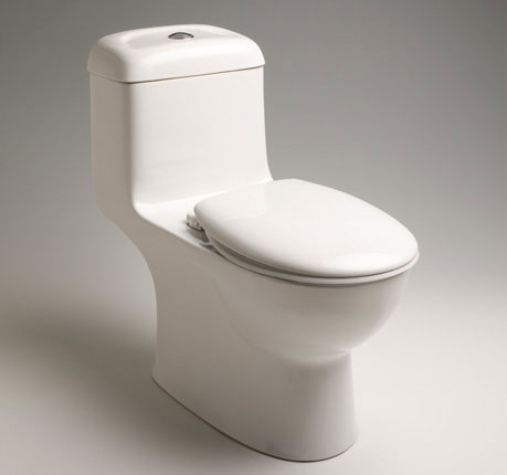Caroma Caravelle one-piece dual flush toilet